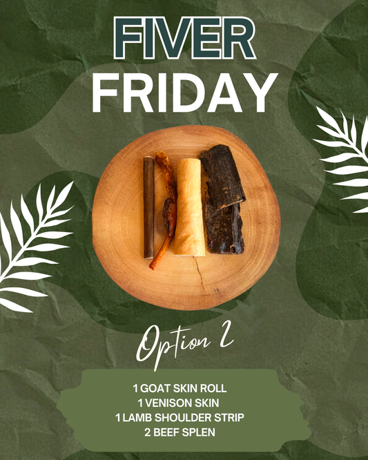 FIVER FRIDAY BUNDLE