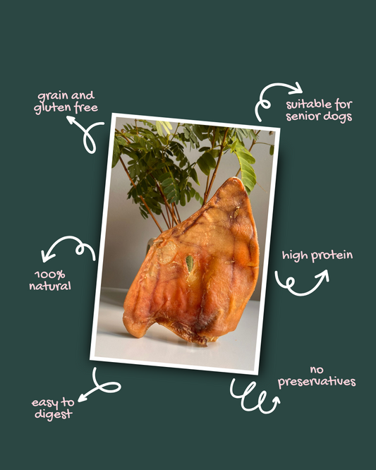Large Pig Ear