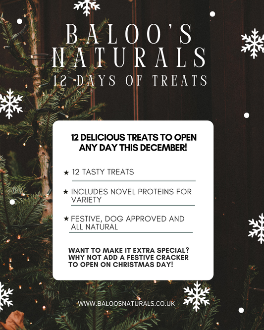 12 Days of Treats (Festive Edition)