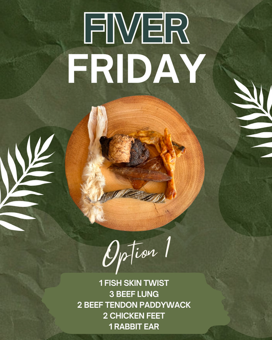 FIVER FRIDAY BUNDLE