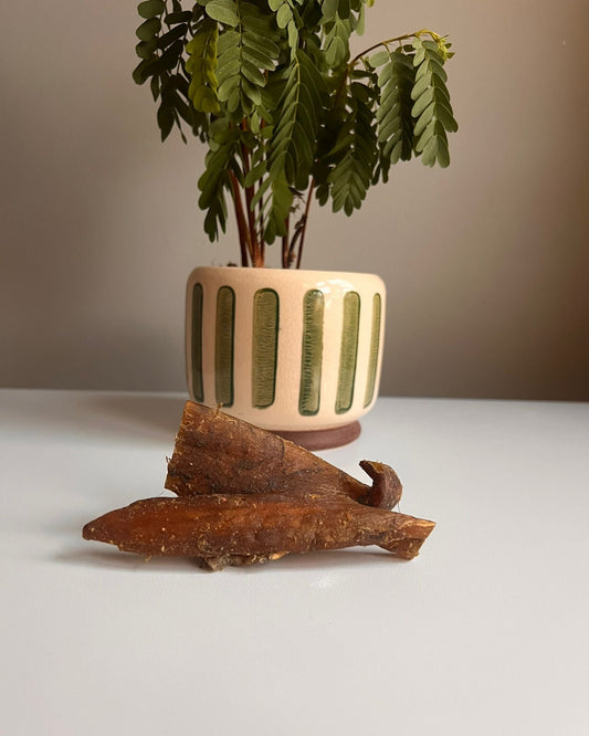 Beef Tendon Paddywack