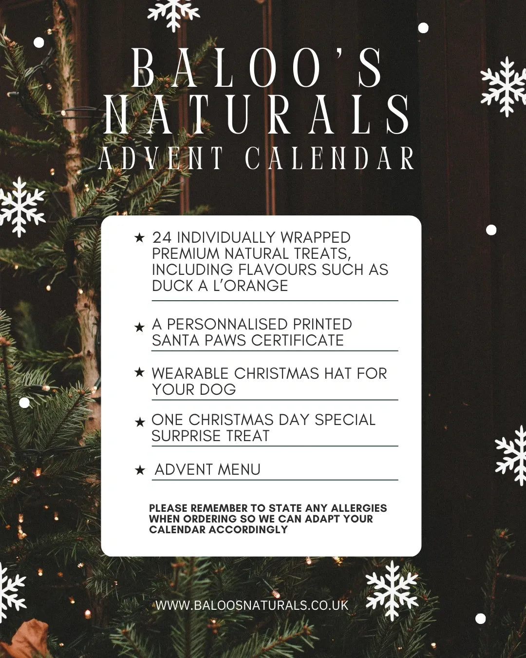 Christmas Advent Calendar (Pre-Order)